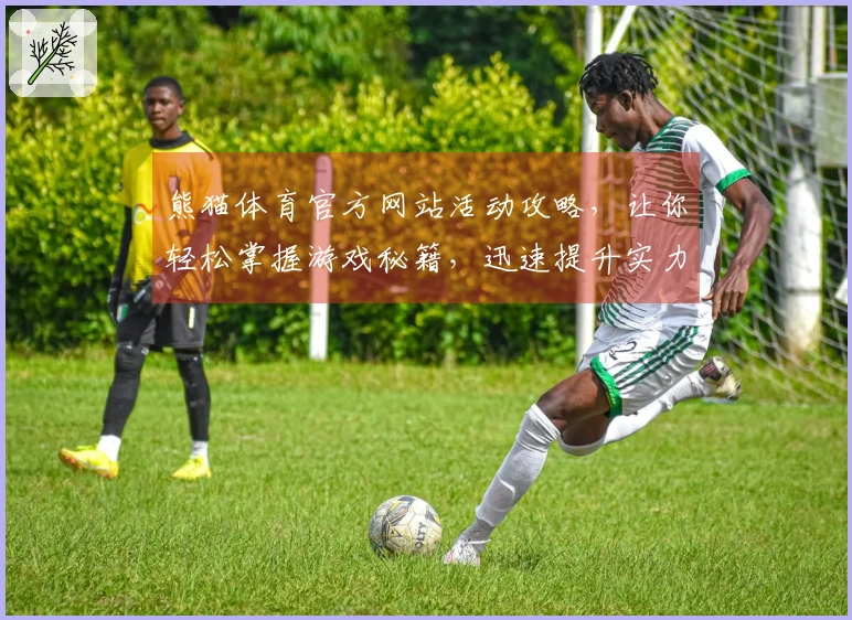 熊猫体育官方网站活动攻略，让你轻松掌握游戏秘籍，迅速提升实力！